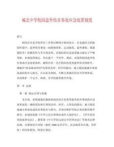 城北中學(xué)校園意外傷害事故應(yīng)急處置制度