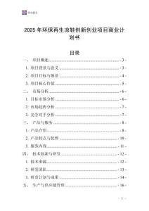 2025年環保再生涼鞋創新創業項目商業計劃書