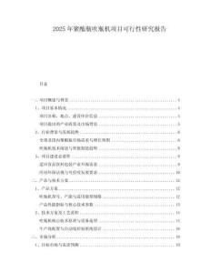 2025年聚酯瓶吹瓶機(jī)項目可行性研究報告