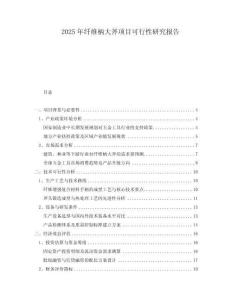 2025年纖維柄大斧項(xiàng)目可行性研究報(bào)告