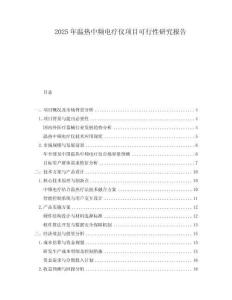 2025年溫熱中頻電療儀項目可行性研究報告
