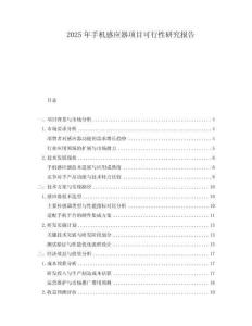 2025年手機感應器項目可行性研究報告