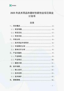 2025年武術(shù)用品和器材創(chuàng)新創(chuàng)業(yè)項(xiàng)目商業(yè)計(jì)劃書