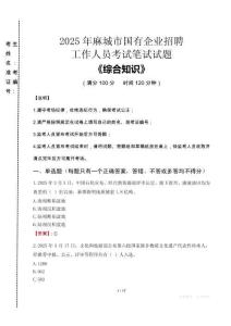 2025年麻城市國企考試真題