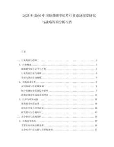 2025至2030中國(guó)顛茄磺芐啶片行業(yè)市場(chǎng)深度研究與戰(zhàn)略咨詢分析報(bào)告