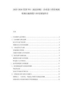 2025-2030英國NNN（液晶面板）企業(yè)進(jìn)口供給規(guī)則檢測點漏洞投入補充規(guī)劃科目