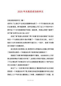 2025年失敗后成功的作文