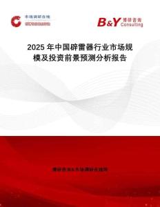 2025年中国辟雷器行业市场规模及投资前景预测分析报告