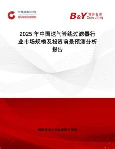 2025年中國送氣管線過濾器行業(yè)市場規(guī)模及投資前景預測分析報告