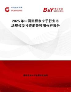 2025年中國里程表卡子行業(yè)市場規(guī)模及投資前景預(yù)測分析報(bào)告