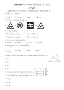 【初一數(shù)學(xué)】四川省樂(lè)山市2022-2023學(xué)年七年級(jí)下學(xué)期期末考試數(shù)學(xué)試卷(含解析)