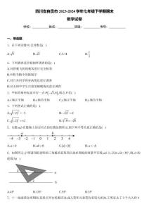 【初一數(shù)學(xué)】四川省自貢市2023-2024學(xué)年七年級(jí)下學(xué)期期末考試數(shù)學(xué)試卷(含答案)