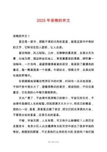 2025年夜晚的作文