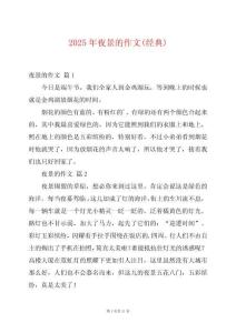 2025年夜景的作文(經(jīng)典)