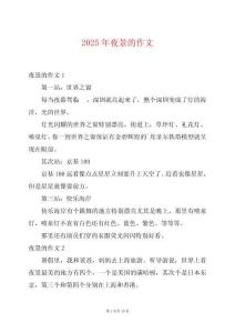 2025年夜景的作文