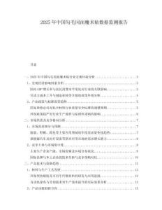 2025年中國勾毛同面魔術(shù)貼數(shù)據(jù)監(jiān)測報告