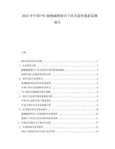 2025年中國PVC耐酸堿絕緣自干掛具涂料數(shù)據(jù)監(jiān)測報(bào)告