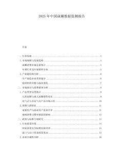 2025年中國泳圈數據監(jiān)測報告