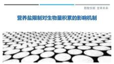 營(yíng)養(yǎng)鹽限制對(duì)生物量積累的影響機(jī)制-洞察與解讀