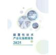 顛覆性技術(shù)產(chǎn)業(yè)化指數(shù)報(bào)告（2025）