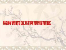 局解臂前區(qū)肘窩前臂前區(qū)PPT課件