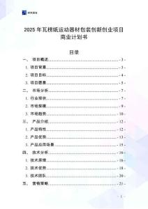 2025年瓦楞紙運動器材包裝創新創業項目商業計劃書
