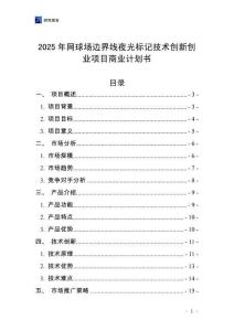 2025年網球場邊界線夜光標記技術創新創業項目商業計劃書