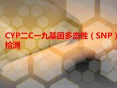 CYP二C一九基因多態(tài)性（SNP）檢測PPT課件