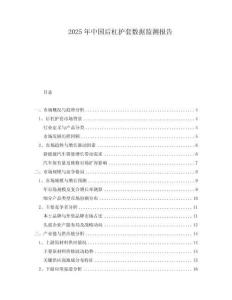 2025年中國(guó)后杠護(hù)套數(shù)據(jù)監(jiān)測(cè)報(bào)告