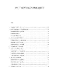 2025年中國摩托艇點火器數據監測報告