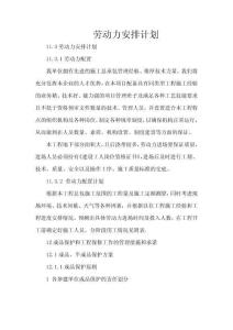 勞動力安排計劃