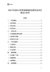 2025年迷你口風琴演奏套裝創新創業項目商業計劃書