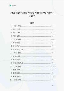 2025年透氣涼感沙發(fā)墊創(chuàng)新創(chuàng)業(yè)項目商業(yè)計劃書