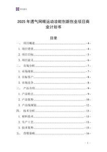 2025年透氣網眼運動涼鞋創新創業項目商業計劃書