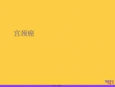 宮頸癌正規(guī)版資料