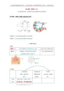 15、肺通氣【基礎(chǔ)版】