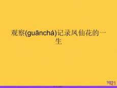 觀察記錄鳳仙花的一生優選ppt資料