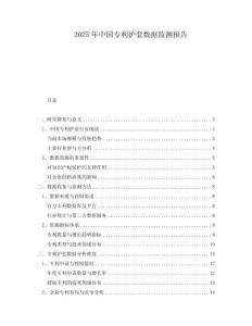 2025年中國(guó)專利護(hù)套數(shù)據(jù)監(jiān)測(cè)報(bào)告