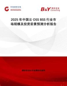 2025年中國(guó)云OSS BSS行業(yè)市場(chǎng)規(guī)模及投資前景預(yù)測(cè)分析報(bào)告