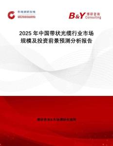 2025年中國帶狀光纜行業市場規模及投資前景預測分析報告