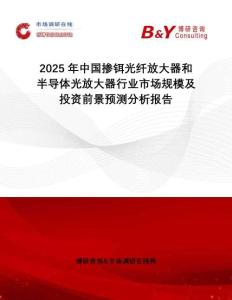 2025年中國摻鉺光纖放大器和半導體光放大器行業市場規模及投資前景預測分析報告