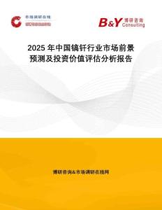2025年中國鎬釬行業(yè)市場前景預(yù)測及投資價值評估分析報告