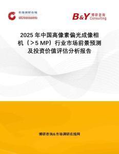 2025年中國高像素偏光成像相機（＞5 MP）行業市場前景預測及投資價值評估分析報告