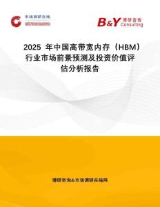 2025年中國(guó)高帶寬內(nèi)存（HBM）行業(yè)市場(chǎng)前景預(yù)測(cè)及投資價(jià)值評(píng)估分析報(bào)告