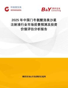 2025年中國門冬氨酸洛美沙星注射液行業市場前景預測及投資價值評估分析報告