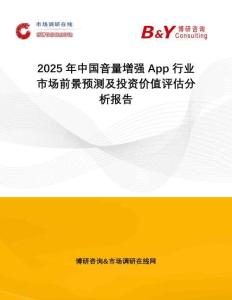 2025年中國音量增強(qiáng)App行業(yè)市場前景預(yù)測及投資價值評估分析報告