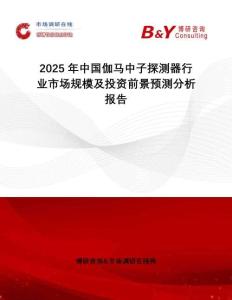 2025年中國伽馬中子探測器行業(yè)市場規(guī)模及投資前景預測分析報告