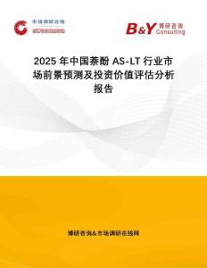 2025年中國萘酚 AS-LT行業市場前景預測及投資價值評估分析報告