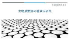 生物質(zhì)燃燒環(huán)境效應(yīng)研究-剖析洞察