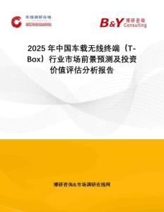 2025年中國車載無線終端（T-Box）行業市場前景預測及投資價值評估分析報告